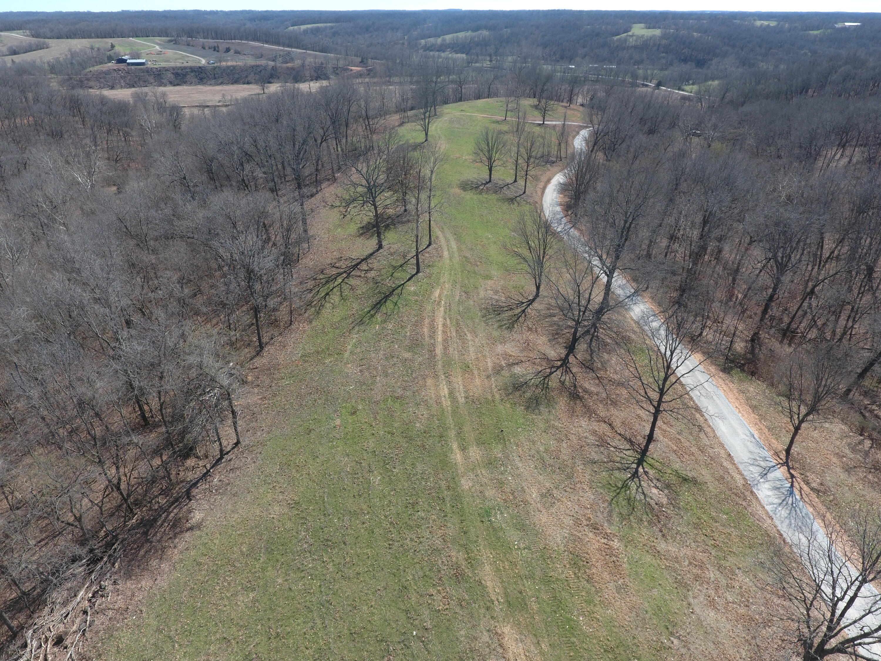 Photo 7 - Land for sale – 000  Tract 2 Sugar Fork   Goodman, MO