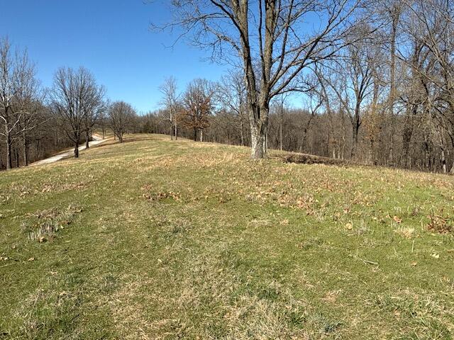 Photo 11 - Land for sale – 000  Tract 2 Sugar Fork   Goodman, MO