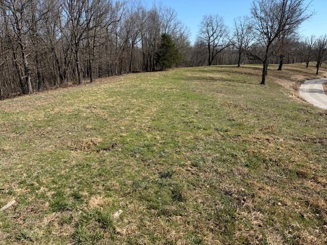 Photo 7 - Land for sale – 000  Tract 3 Sugar Fork   Goodman, MO