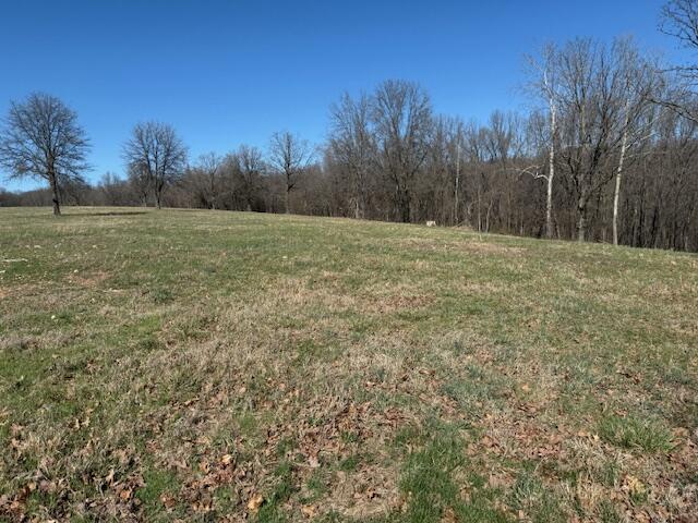 Photo 5 - Land for sale – 000  Tract 3 Sugar Fork   Goodman, MO