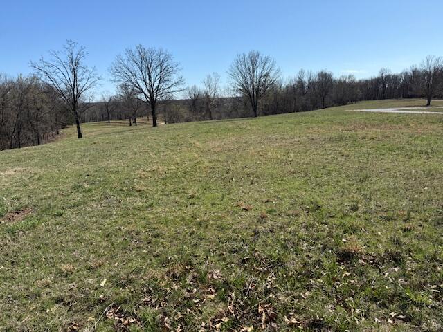 Photo 4 - Land for sale – 000  Tract 3 Sugar Fork   Goodman, MO