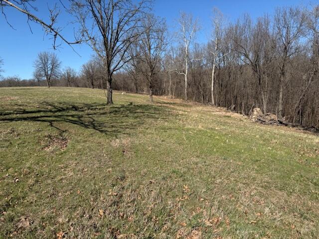 Photo 6 - Land for sale – 000  Tract 3 Sugar Fork   Goodman, MO