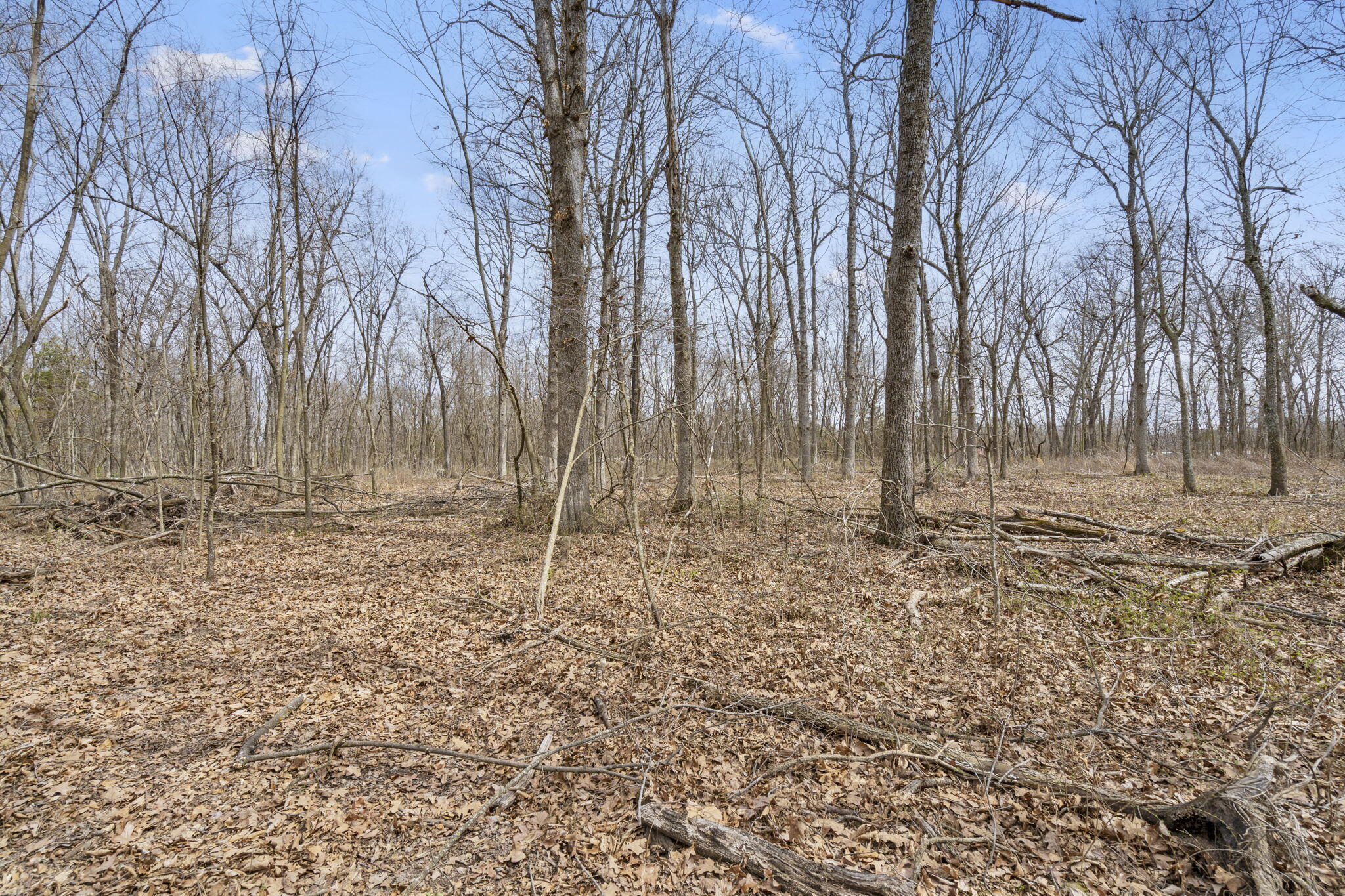 Photo 3 - Land for sale – 2007 N Farm Road 89   Springfield, MO