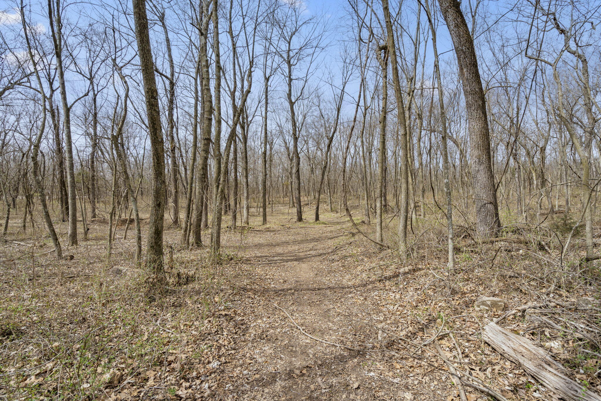 Photo 4 - Land for sale – 2007 N Farm Road 89   Springfield, MO