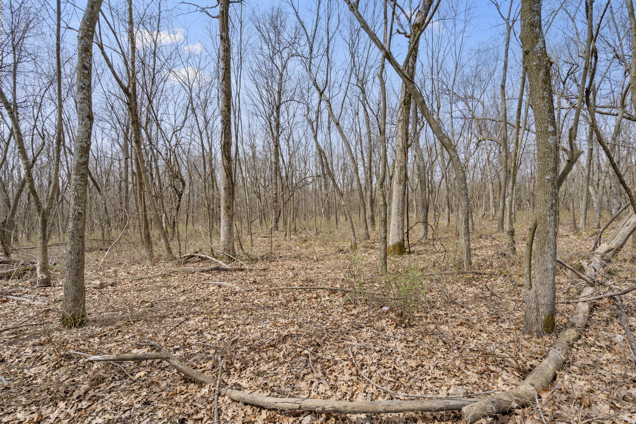 Photo 2 - Land for sale – 2007 N Farm Road 89   Springfield, MO
