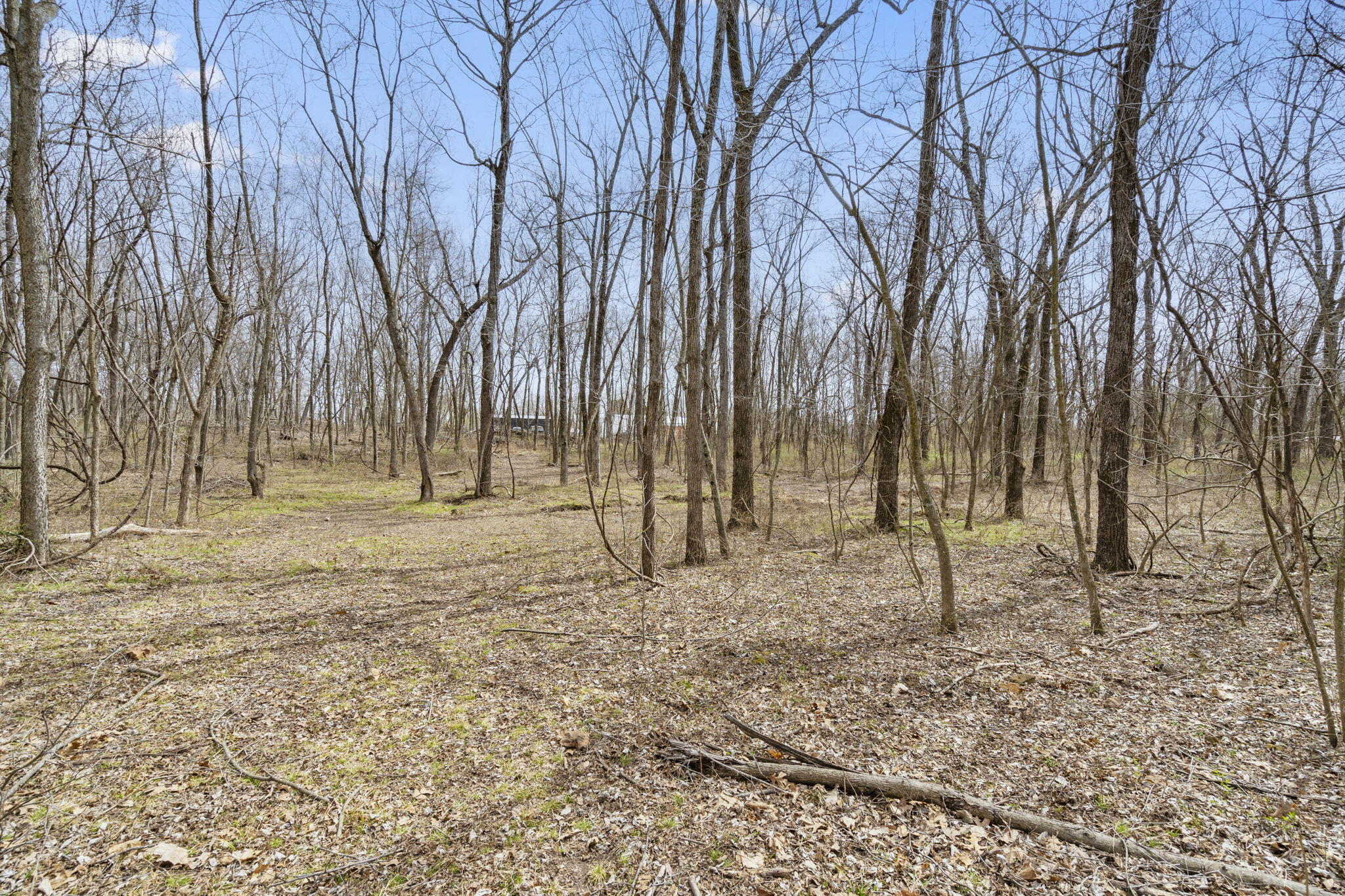 Photo 6 - Land for sale – 2007 N Farm Road 89   Springfield, MO