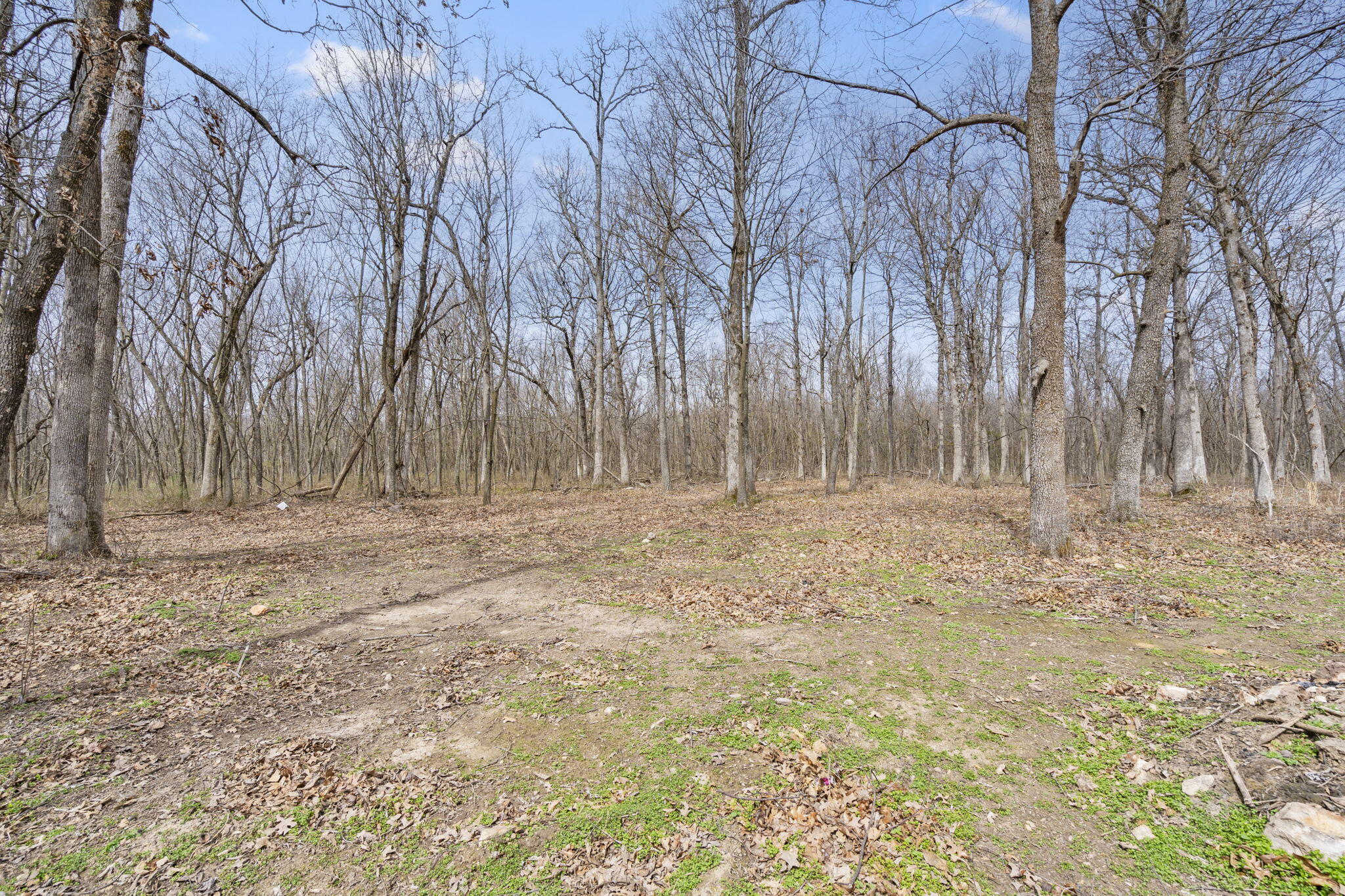 Photo 13 - Land for sale – 2007 N Farm Road 89   Springfield, MO