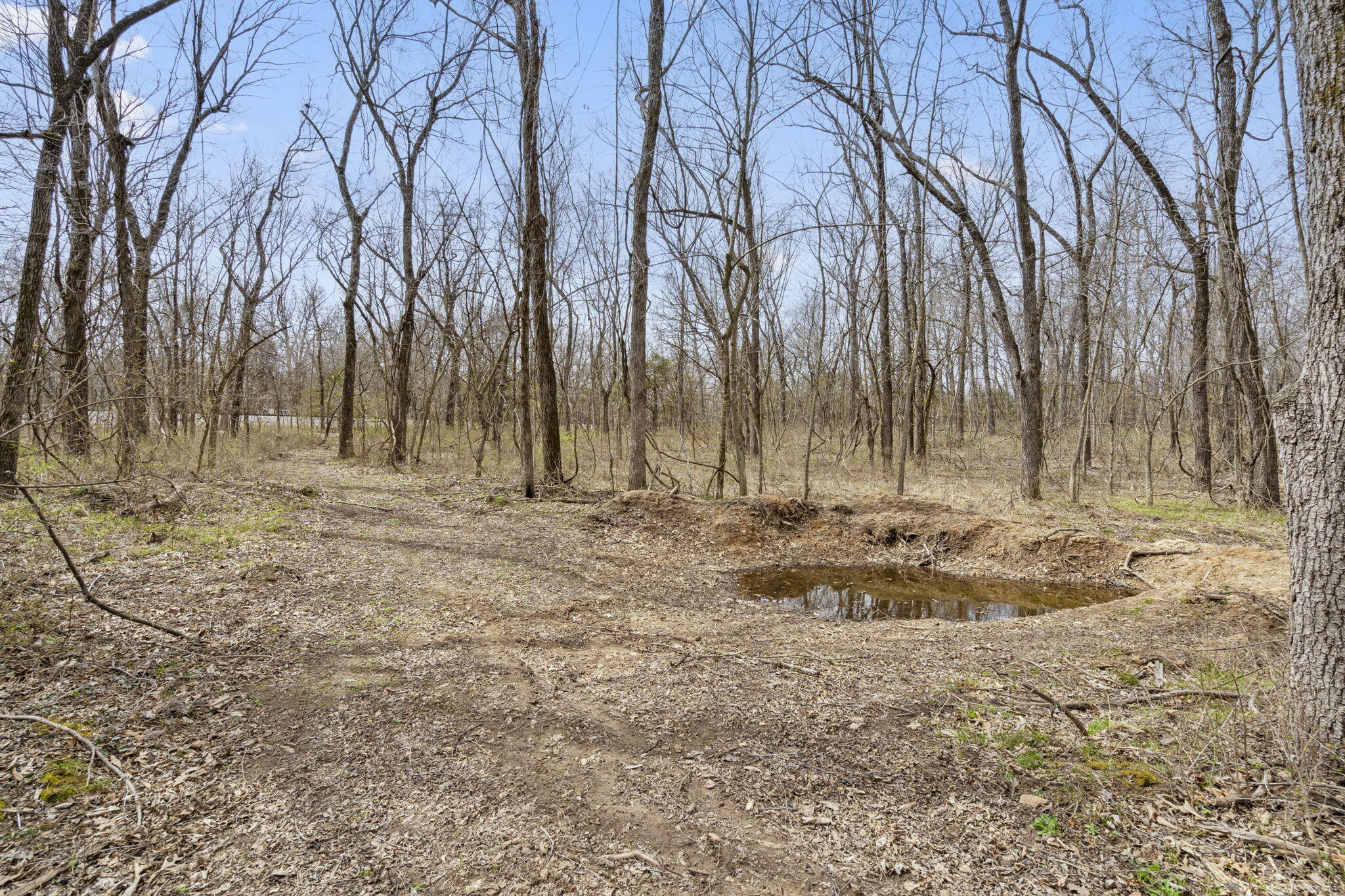 Photo 5 - Land for sale – 2007 N Farm Road 89   Springfield, MO