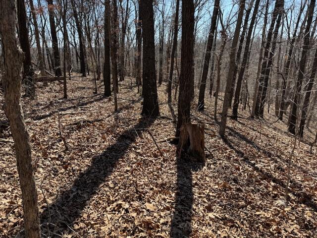 Photo 15 - Land for sale – 000  Tract 9 Sugar Fork   Goodman, MO