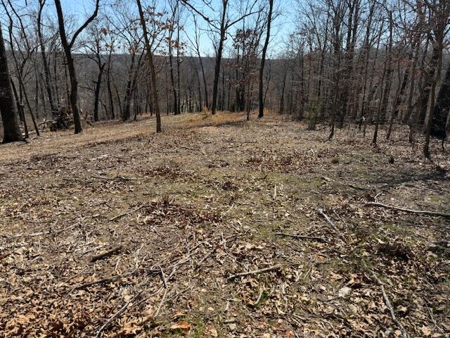 Photo 6 - Land for sale – 000  Tract 9 Sugar Fork   Goodman, MO