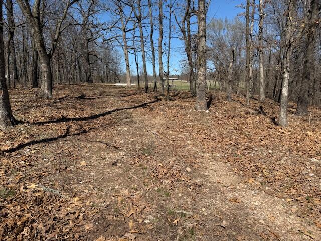 Land for sale – 000  Tract 9 Sugar Fork   Goodman, MO