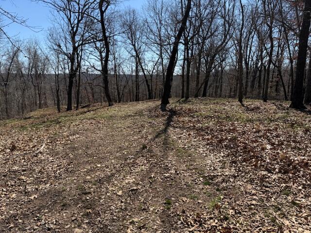 Photo 10 - Land for sale – 000  Tract 9 Sugar Fork   Goodman, MO