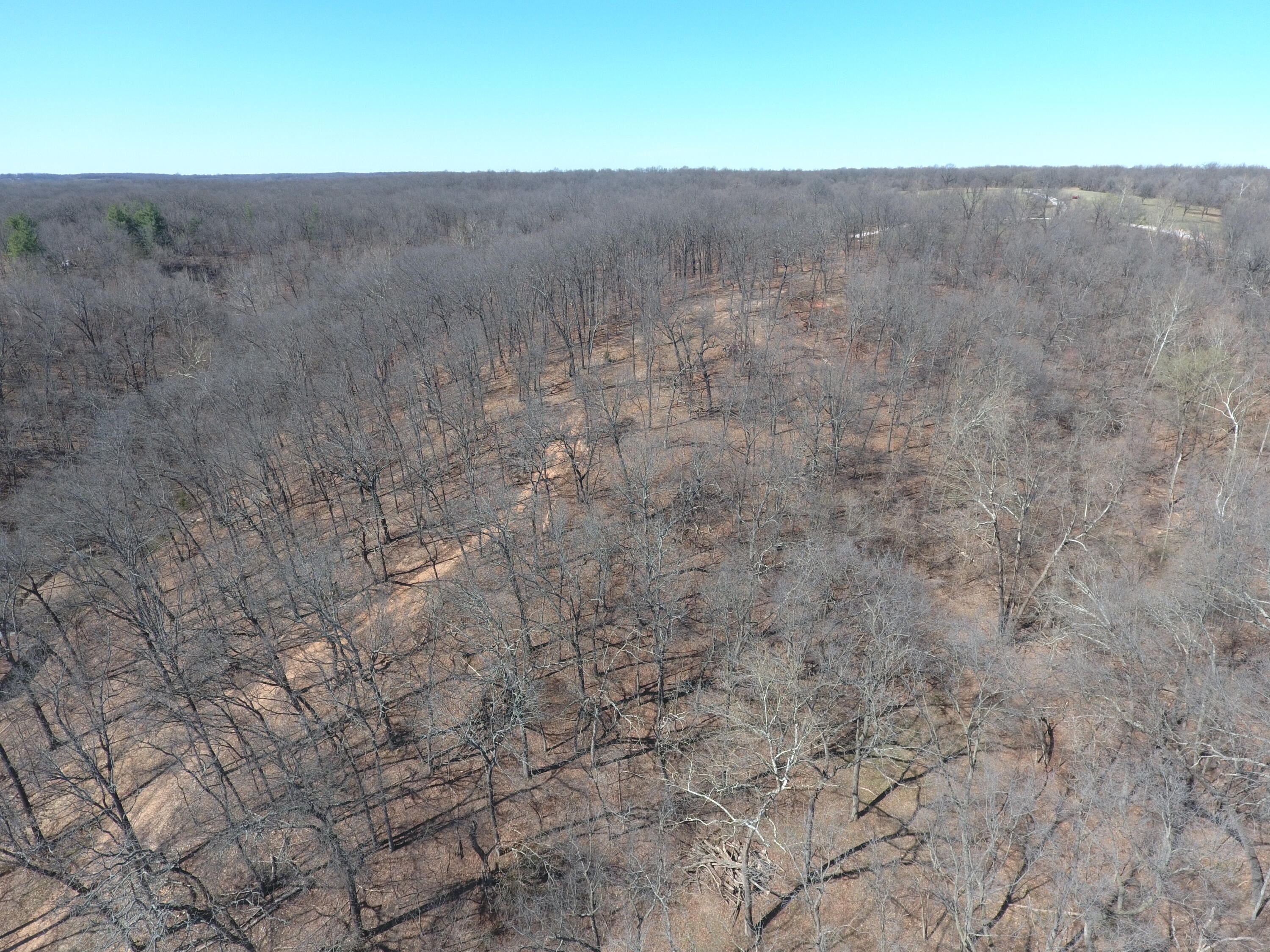 Photo 3 - Land for sale – 000  Tract 9 Sugar Fork   Goodman, MO