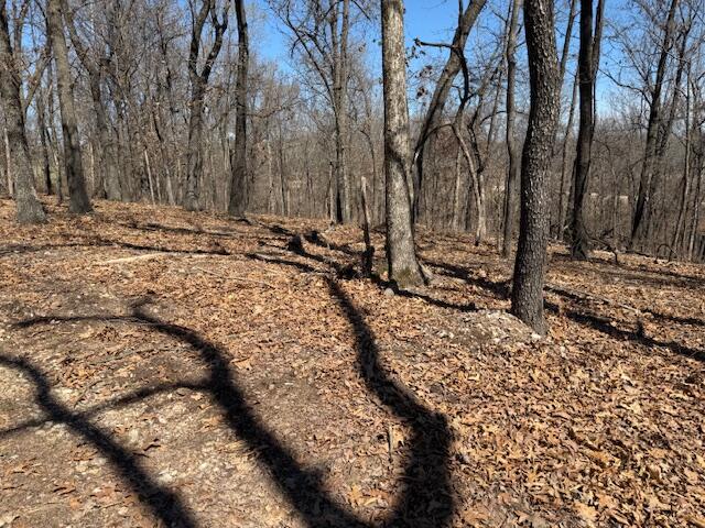Photo 9 - Land for sale – 000  Tract 9 Sugar Fork   Goodman, MO