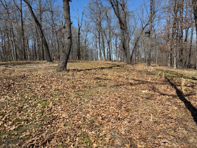 Photo 4 - Land for sale – 000  Tract 9 Sugar Fork   Goodman, MO