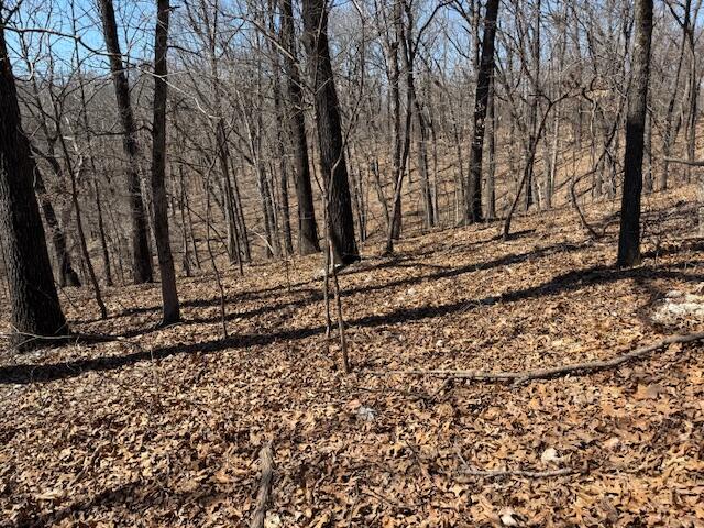 Photo 13 - Land for sale – 000  Tract 9 Sugar Fork   Goodman, MO
