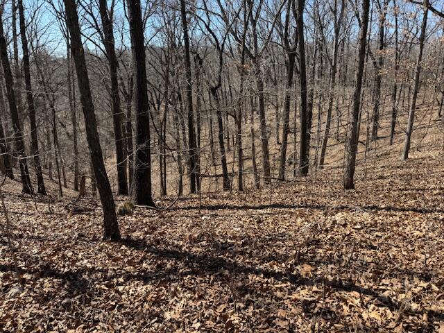 Photo 14 - Land for sale – 000  Tract 9 Sugar Fork   Goodman, MO