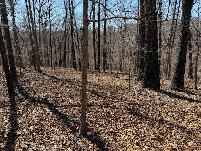 Photo 11 - Land for sale – 000  Tract 9 Sugar Fork   Goodman, MO