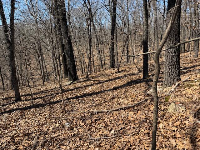Photo 12 - Land for sale – 000  Tract 9 Sugar Fork   Goodman, MO