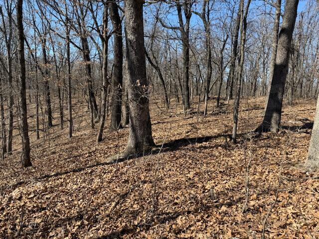 Photo 16 - Land for sale – 000  Tract 9 Sugar Fork   Goodman, MO