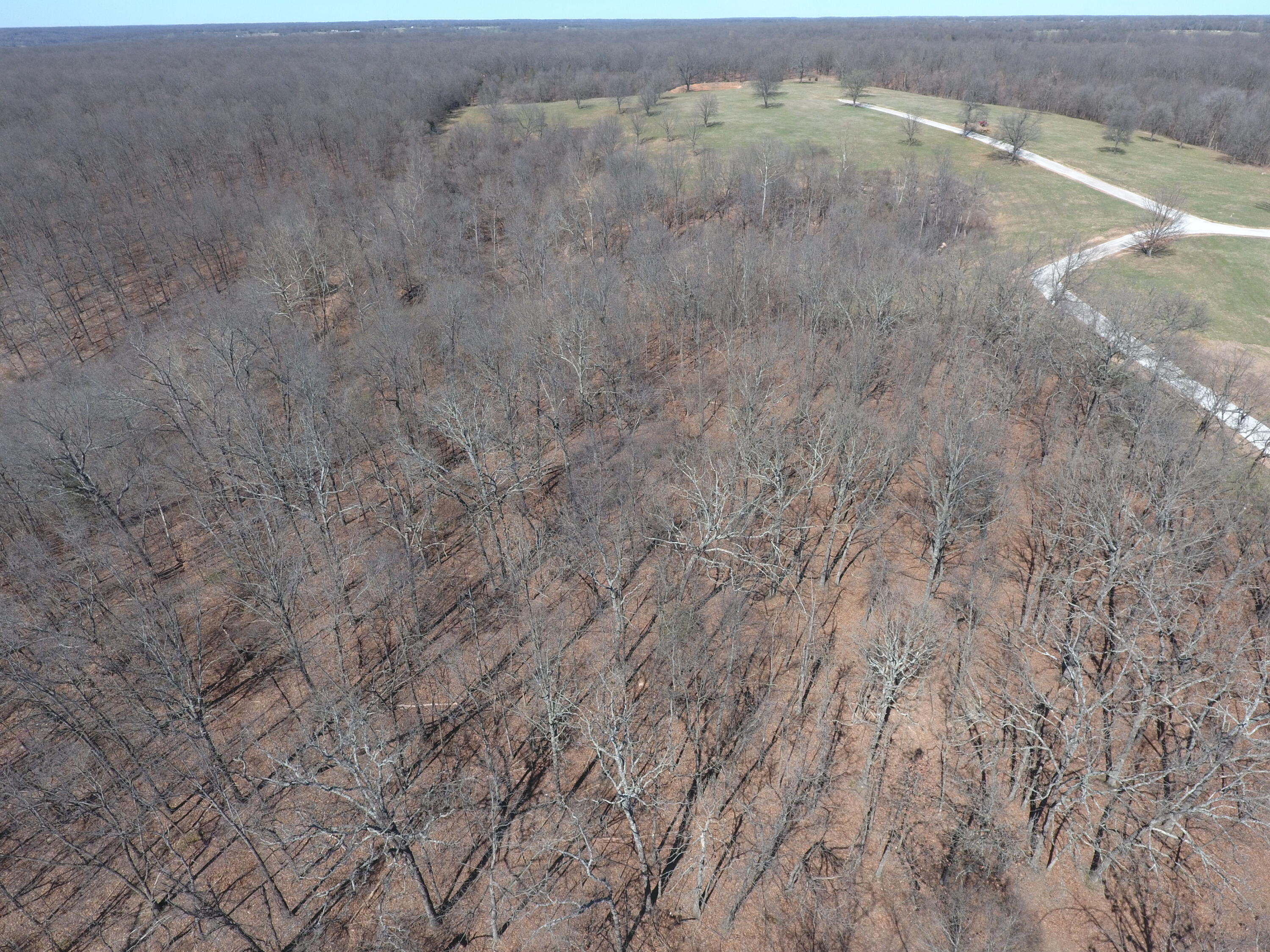 Photo 7 - Land for sale – 000  Tract 9 Sugar Fork   Goodman, MO