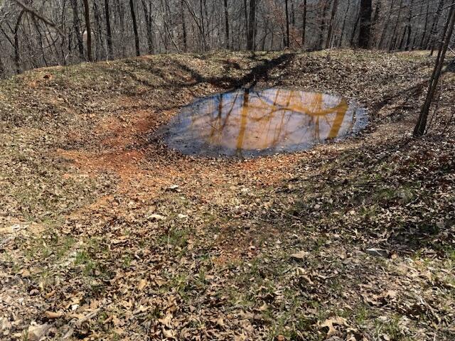 Photo 2 - Land for sale – 000  Tract 9 Sugar Fork   Goodman, MO