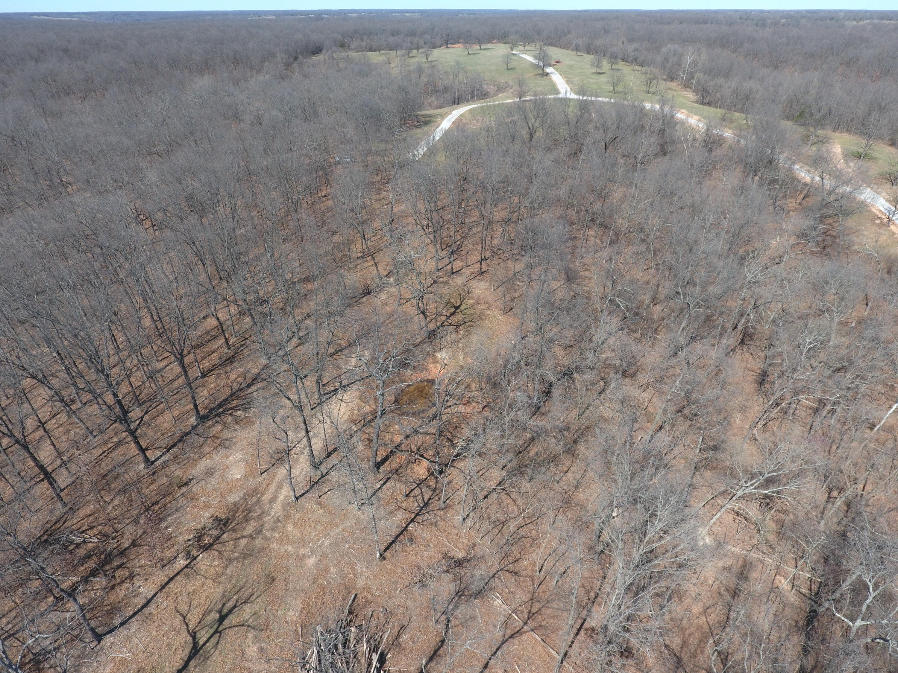 Photo 5 - Land for sale – 000  Tract 9 Sugar Fork   Goodman, MO