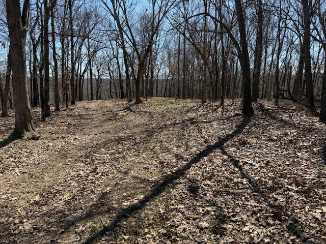 Photo 8 - Land for sale – 000  Tract 9 Sugar Fork   Goodman, MO