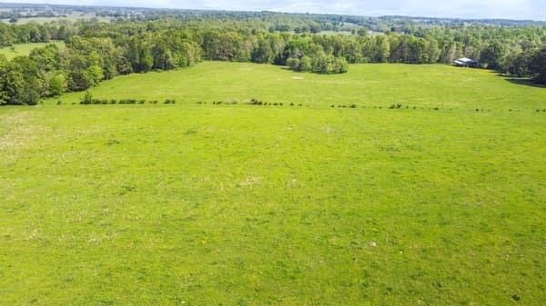 Photo 6 - Land for sale – 000  State Route M Highway Highway  Koshkonong, MO