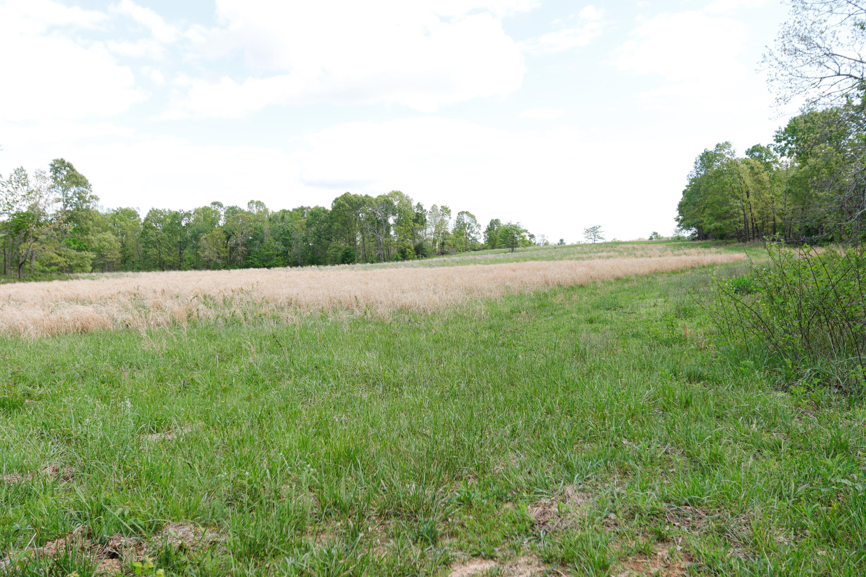 Photo 2 - Land for sale – 000  State Route M Highway Highway  Koshkonong, MO