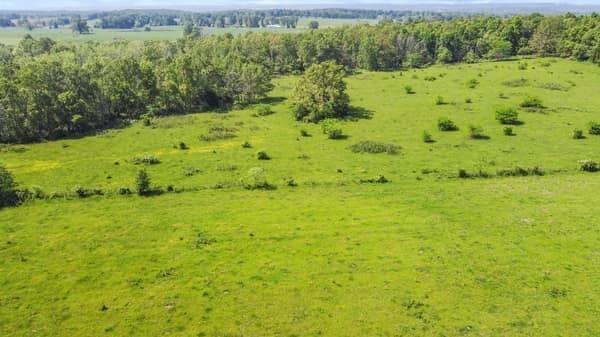 Photo 11 - Land for sale – 000  State Route M Highway Highway  Koshkonong, MO
