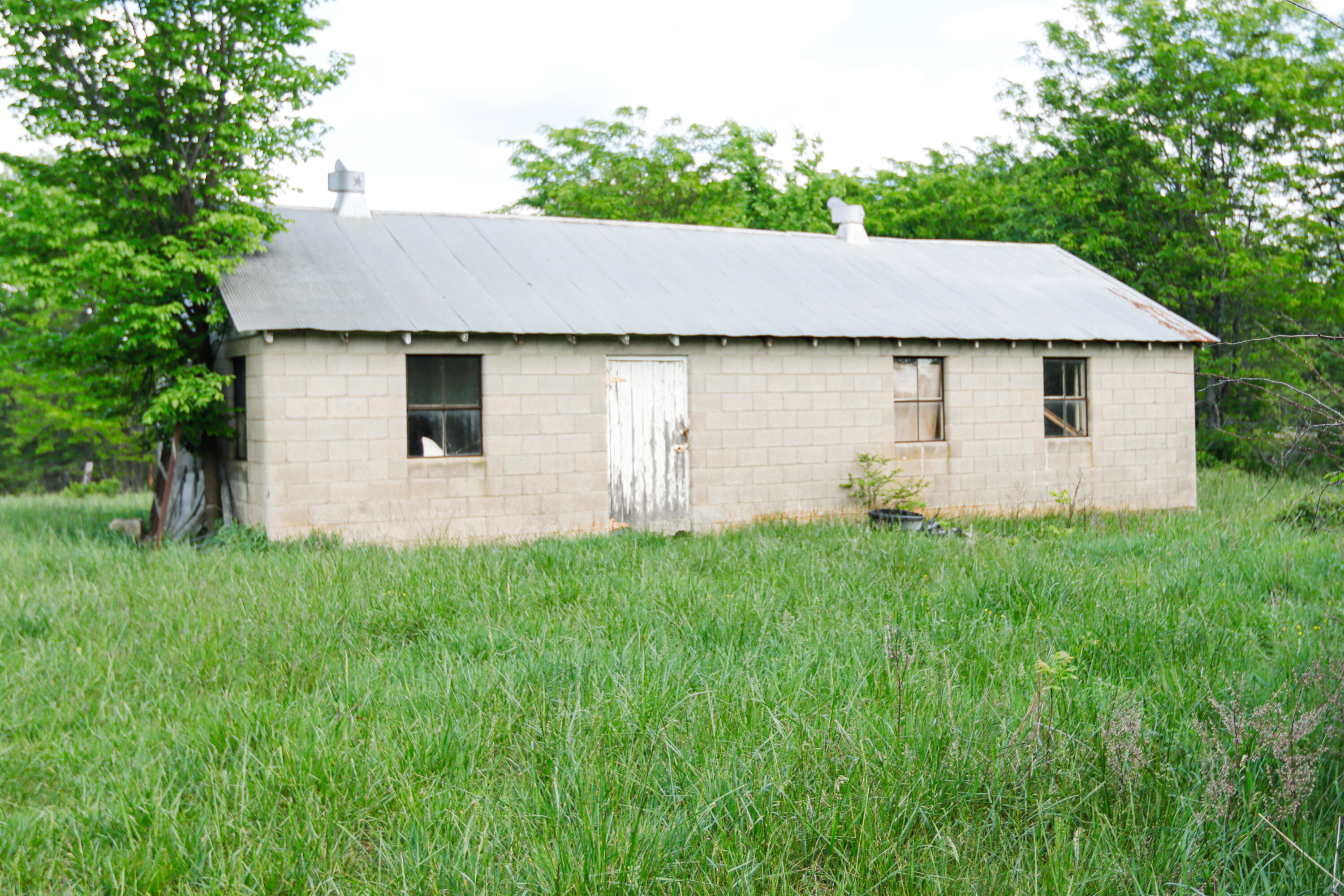 Photo 4 - Land for sale – 000  State Route M Highway Highway  Koshkonong, MO