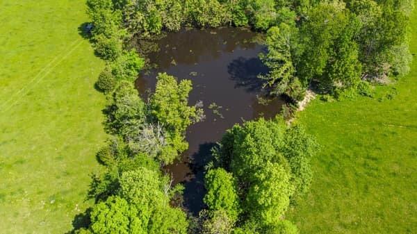 Photo 10 - Land for sale – 000  State Route M Highway Highway  Koshkonong, MO