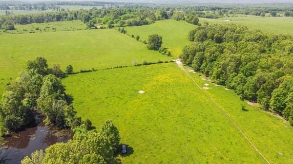 Photo 7 - Land for sale – 000  State Route M Highway Highway  Koshkonong, MO
