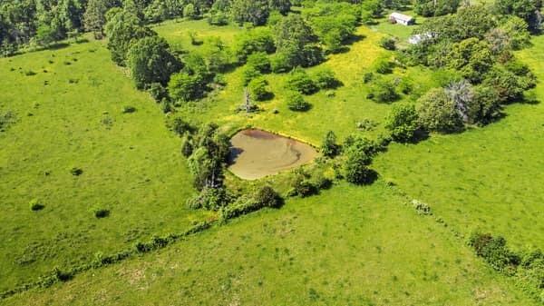 Photo 9 - Land for sale – 000  State Route M Highway Highway  Koshkonong, MO