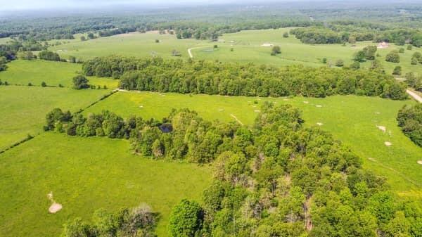 Photo 8 - Land for sale – 000  State Route M Highway Highway  Koshkonong, MO
