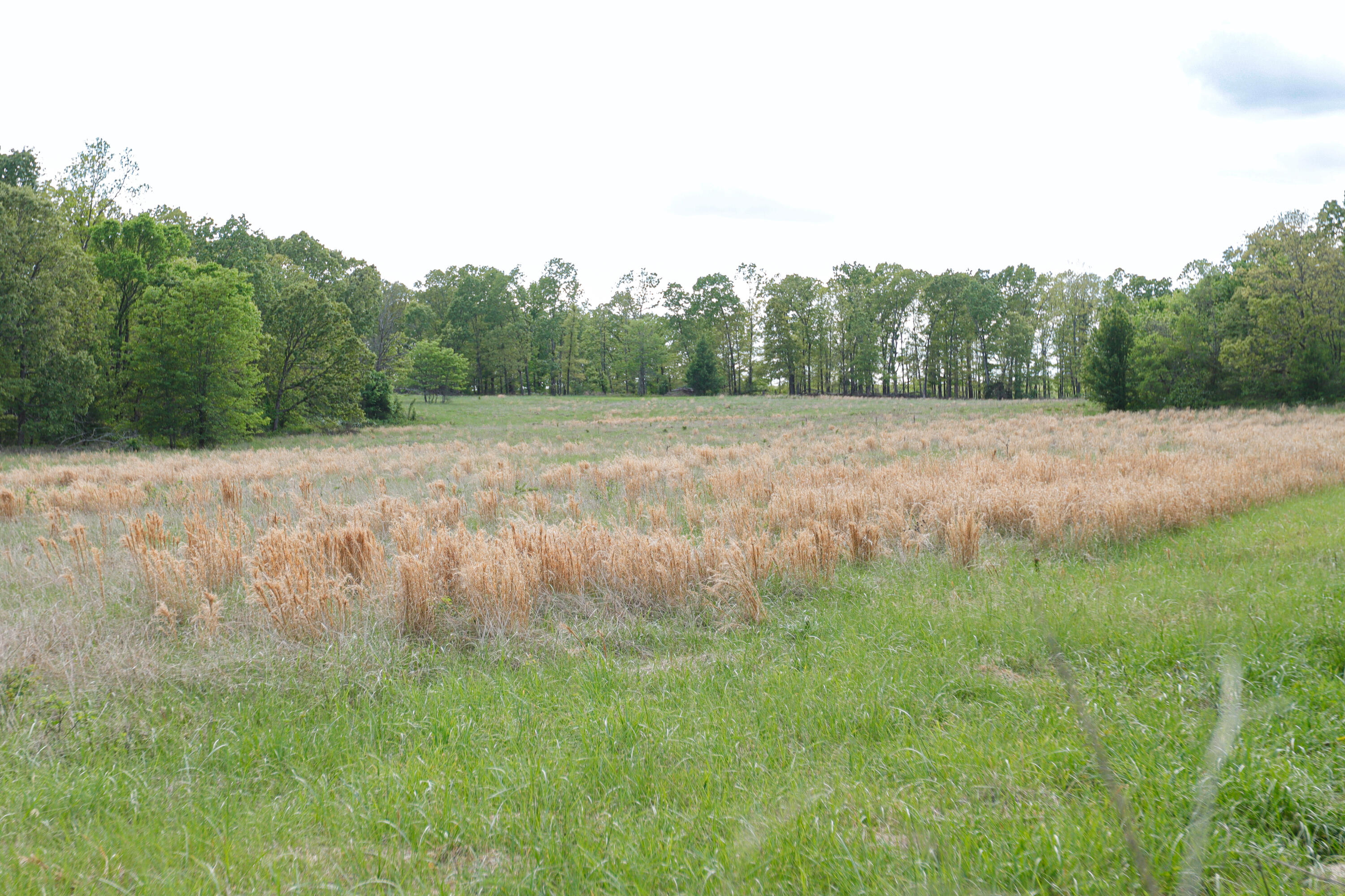 Photo 5 - Land for sale – 000  State Route M Highway Highway  Koshkonong, MO