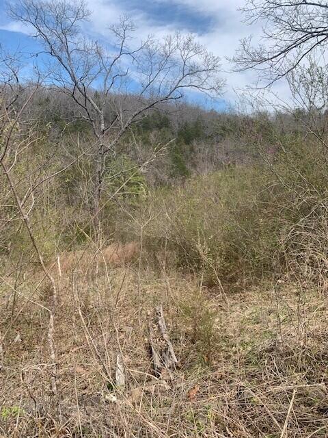 Photo 3 - Land for sale – 265  Lakeview Drive   Hollister, MO