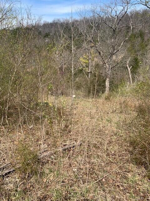 Land for sale – 265 Lakeview Drive Hollister, MO