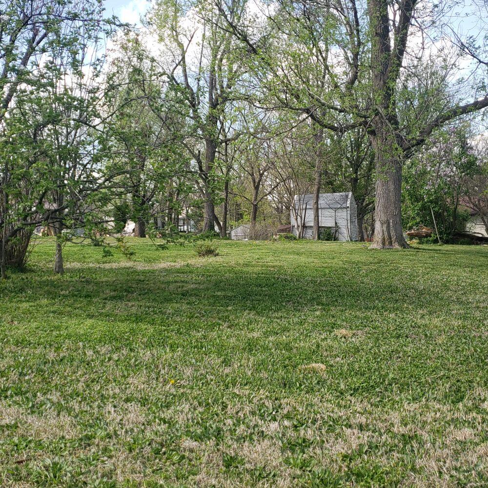 Photo 3 - Land for sale – 312 W 11th Street  Mountain Grove, MO