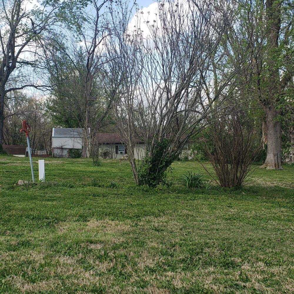 Photo 6 - Land for sale – 312 W 11th Street  Mountain Grove, MO