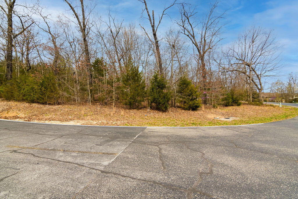 Photo 13 - Land for sale – Lot 28  Crossing Drive  Branson West, MO