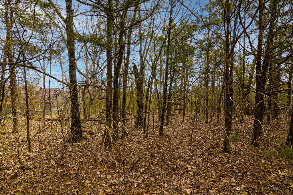 Photo 8 - Land for sale – Lot 28  Crossing Drive  Branson West, MO