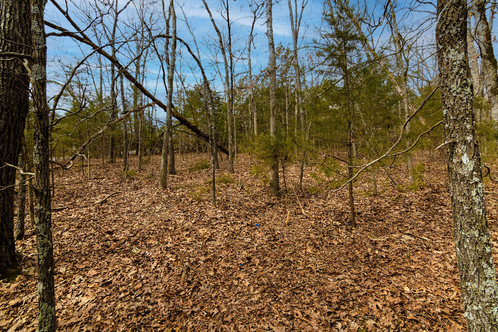 Photo 9 - Land for sale – Lot 28  Crossing Drive  Branson West, MO