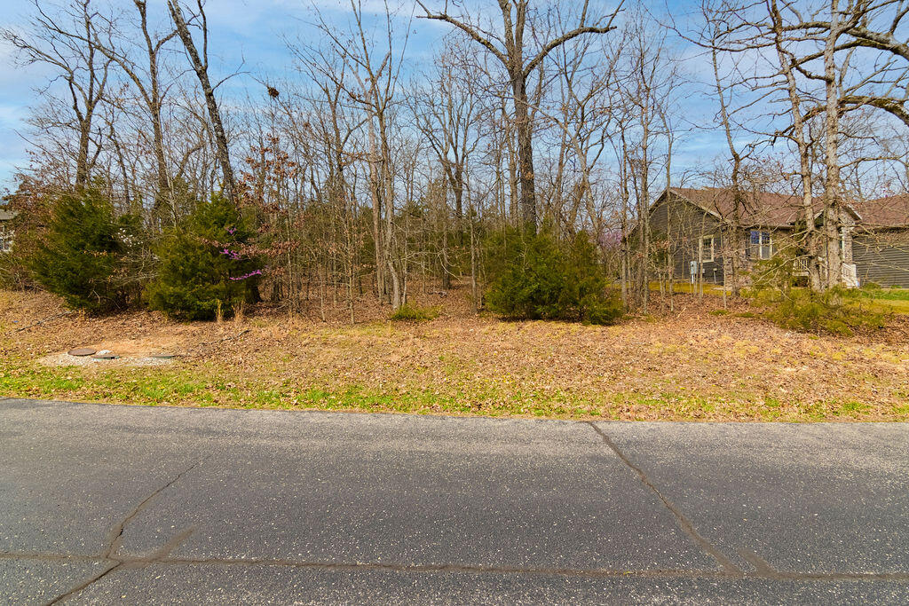 Photo 6 - Land for sale – Lot 28  Crossing Drive  Branson West, MO