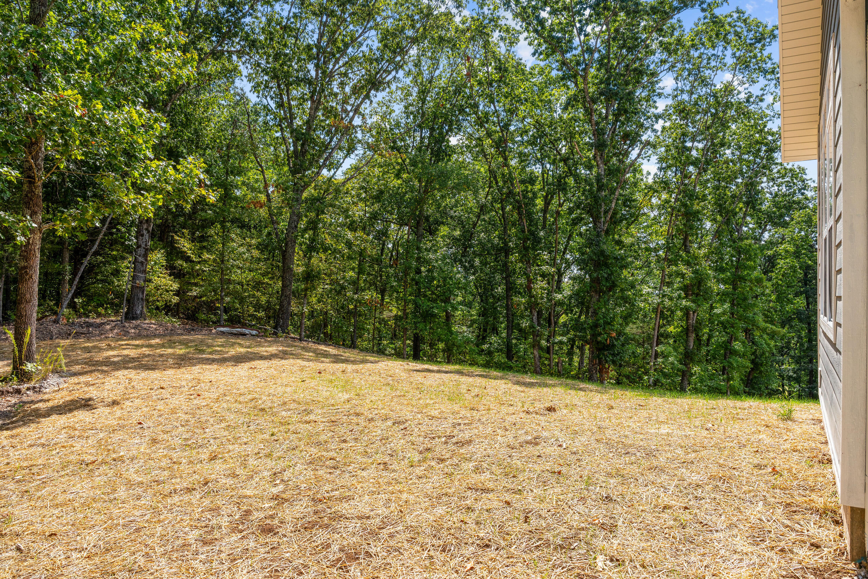 Photo 50 - Residential for sale – 680  Highpoints Ridge   Branson, MO