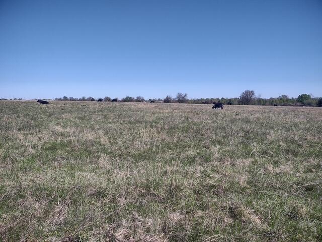 Photo 5 - Land for sale – 000  Commerce Road  Marshfield, MO