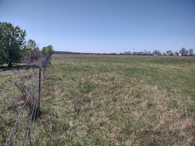 Photo 6 - Land for sale – 000  Commerce Road  Marshfield, MO