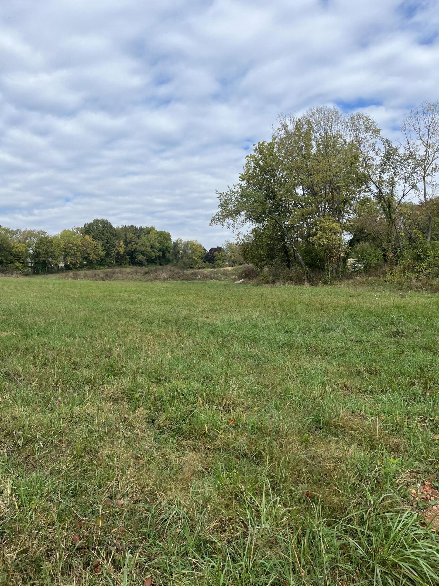 Land for sale – 000  Luney Drive  Cassville, MO