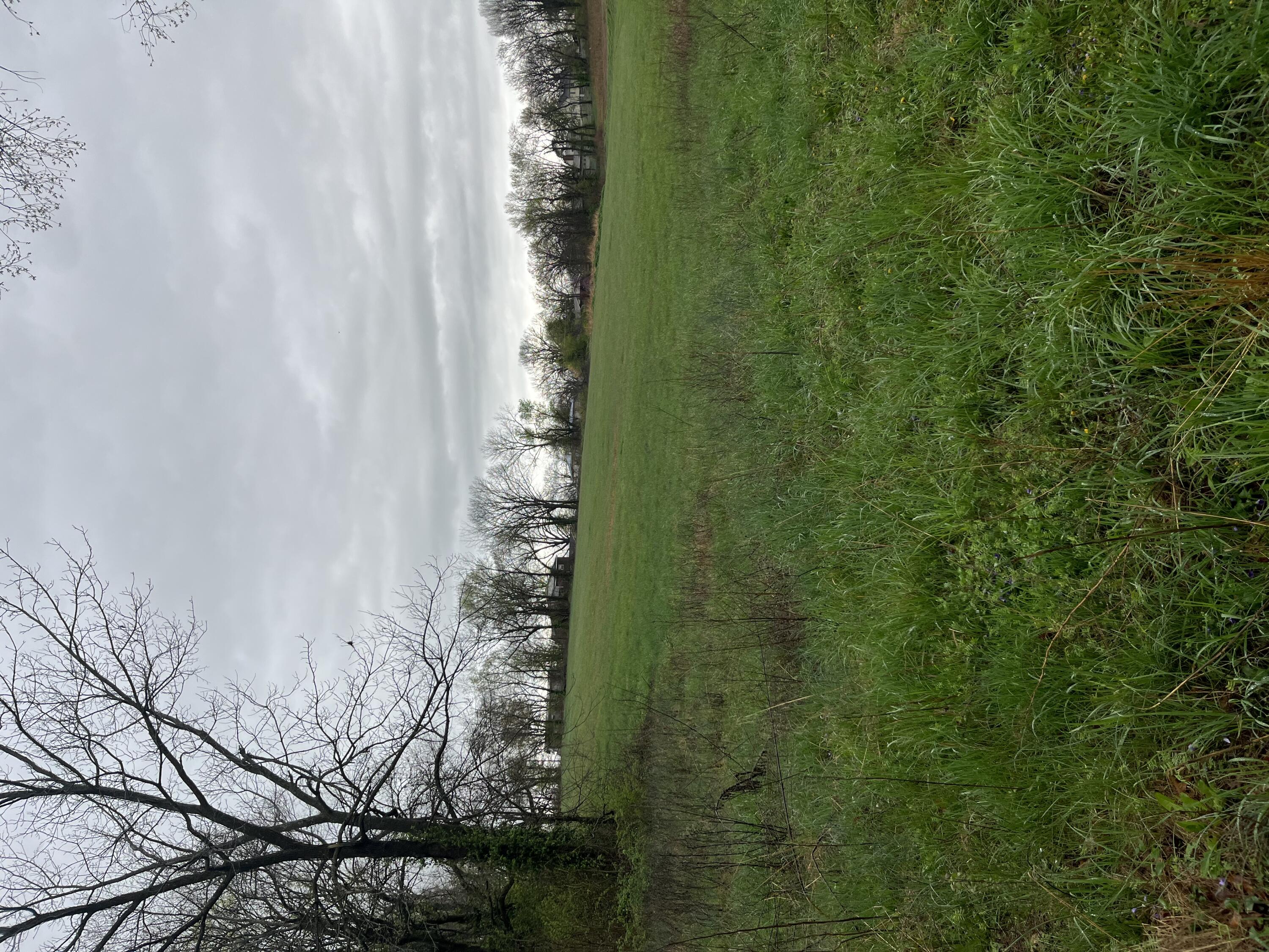 Photo 2 - Land for sale – 000  Luney Drive  Cassville, MO